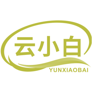 云小白