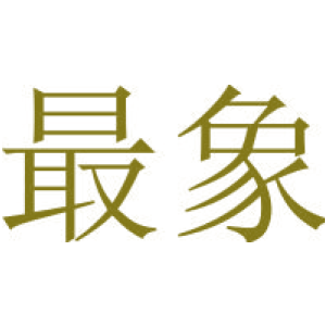 最象