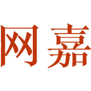 网嘉