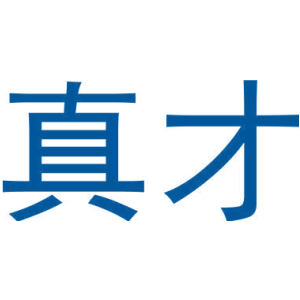 真才