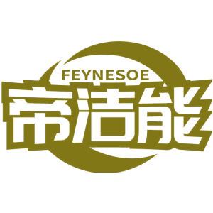 帝洁能 FEYNESOE