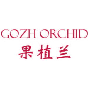 果植兰 GOZH ORCHID