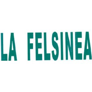 LA FELSINEA
