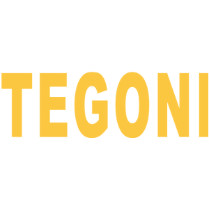 TEGONI