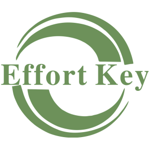 EFFORT KEY