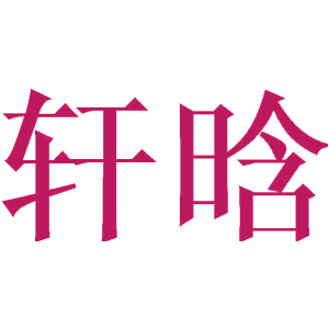 轩晗