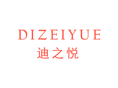 DIZEIYUE 迪之悦