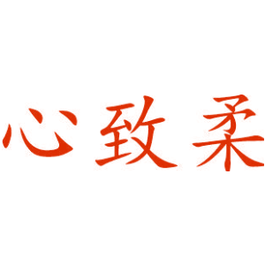 心致柔
