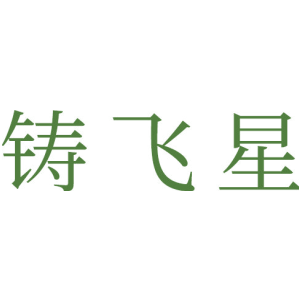 铸飞星