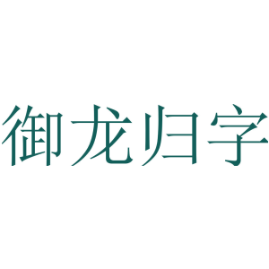 御龙归字