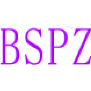 BSPZ