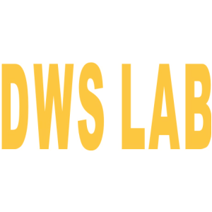 DWS LAB