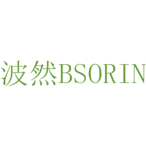 波然 BSORIN