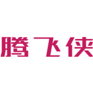 腾飞侠