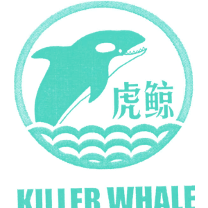 虎鲸;KILLER WHALE