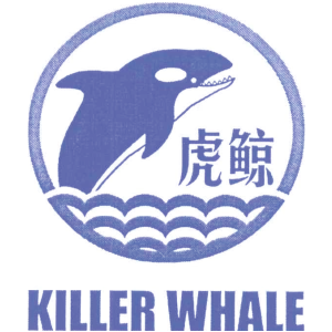 虎鲸;KILLER WHALE