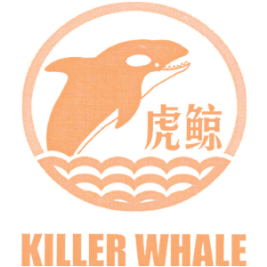 虎鲸;KILLER WHALE