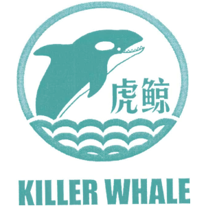 虎鲸;KILLER WHALE