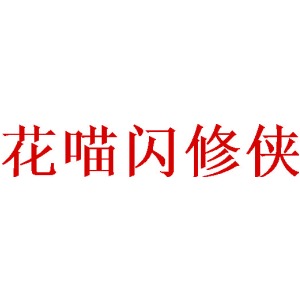 花喵闪修侠