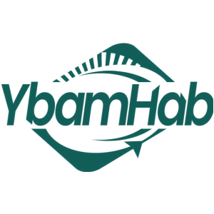 YBAMHAB