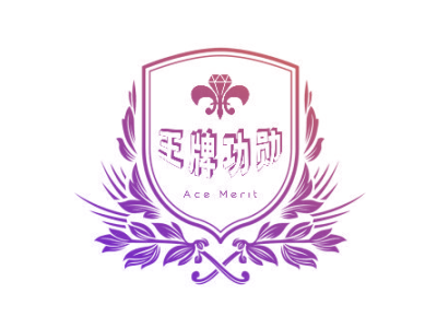 王牌功勋 ACE MERIT