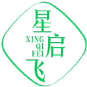星启飞