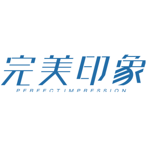 完美印象 PERFECT IMPRESSION