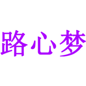 路心梦