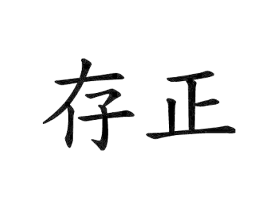 存正