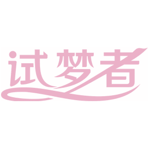 试梦者