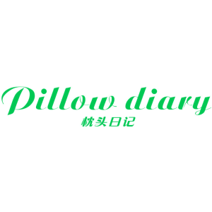 枕头日记 PILLOW DIARY