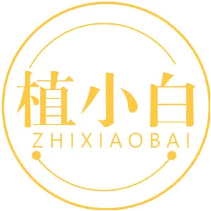 植小白