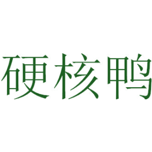 硬核鸭