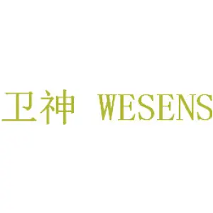 卫神 WESENS