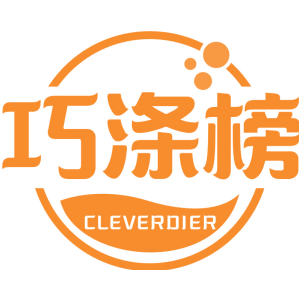 巧涤榜 CLEVERDIER
