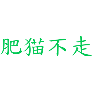 肥猫不走