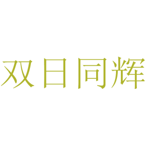双日同辉