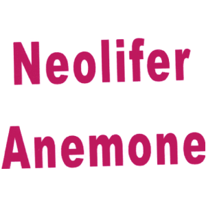 NEOLIFER ANEMONE