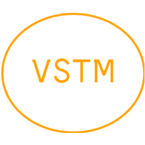 VSTM