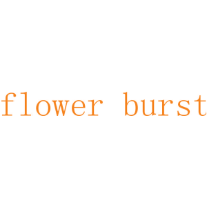 FLOWER BURST