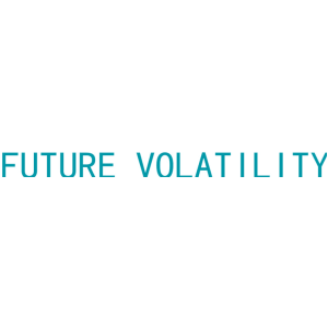 FUTURE VOLATILITY