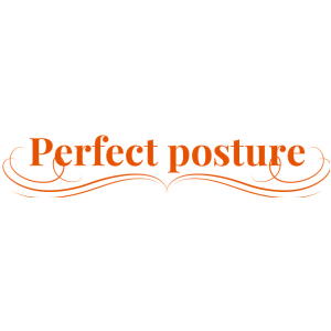PERFECT POSTURE