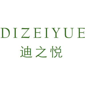 DIZEIYUE 迪之悦