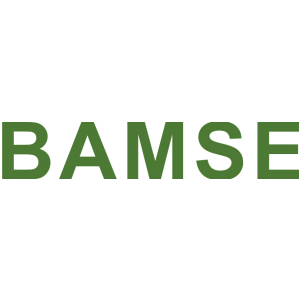 BAMSE