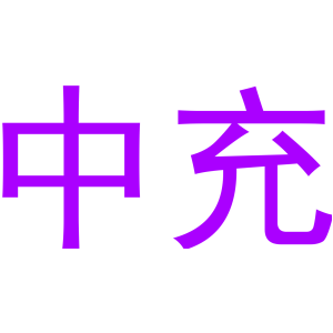 中充