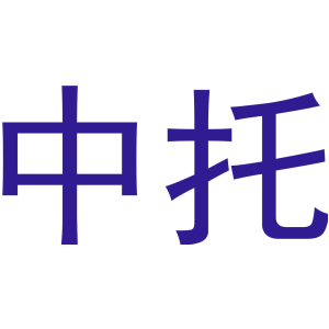 中托