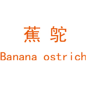 蕉鸵 BANANA OSTRICH