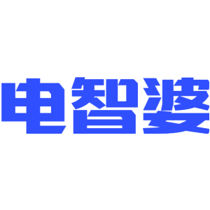 电智婆