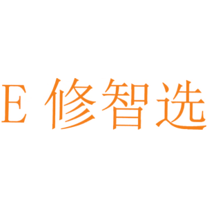 E 修智选