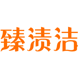 臻渍洁